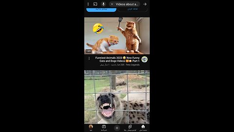 Funniest Animals 2023 😂 New Funny Cats and Dogs Videos 🐱🐶 Part 1