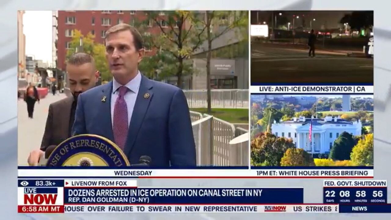 Rep. Dan Goldman Accused ICE, Who Are Enforcing The Law, Of 'Lawless Terror'