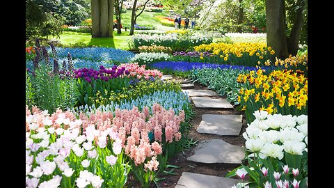 The Soul A Garden: On Christian Meditation (Faith @ Apoc!)