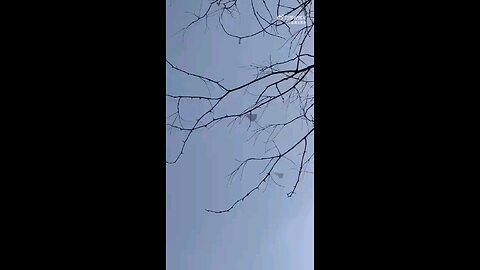 Footage Of New Chinese Stealth Fighter Jet