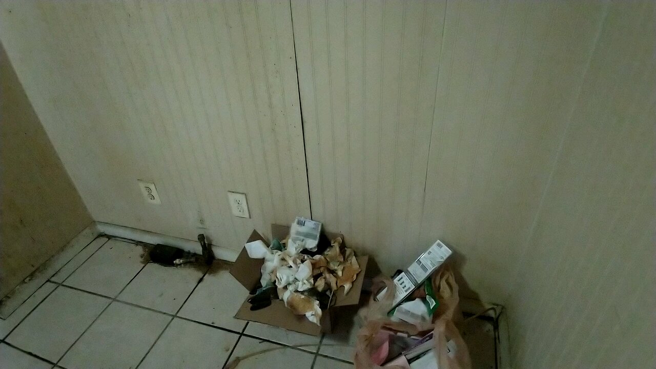 Ash St. Condition Report