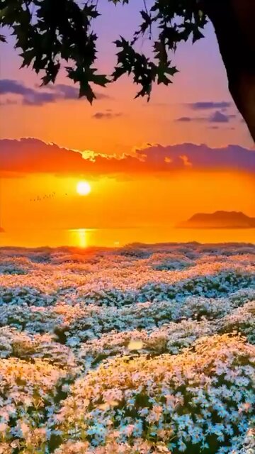 ✨🎶SERENE ESCAPE FOR MIND, BODY, AND SOUL✨🎶