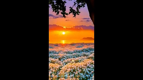 ✨🎶SERENE ESCAPE FOR MIND, BODY, AND SOUL✨🎶