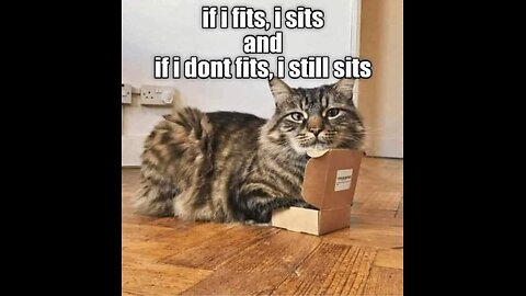 Where dose you're money go in fat cats pockets