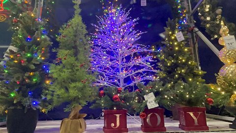 Christmas Shopping in Boscov's