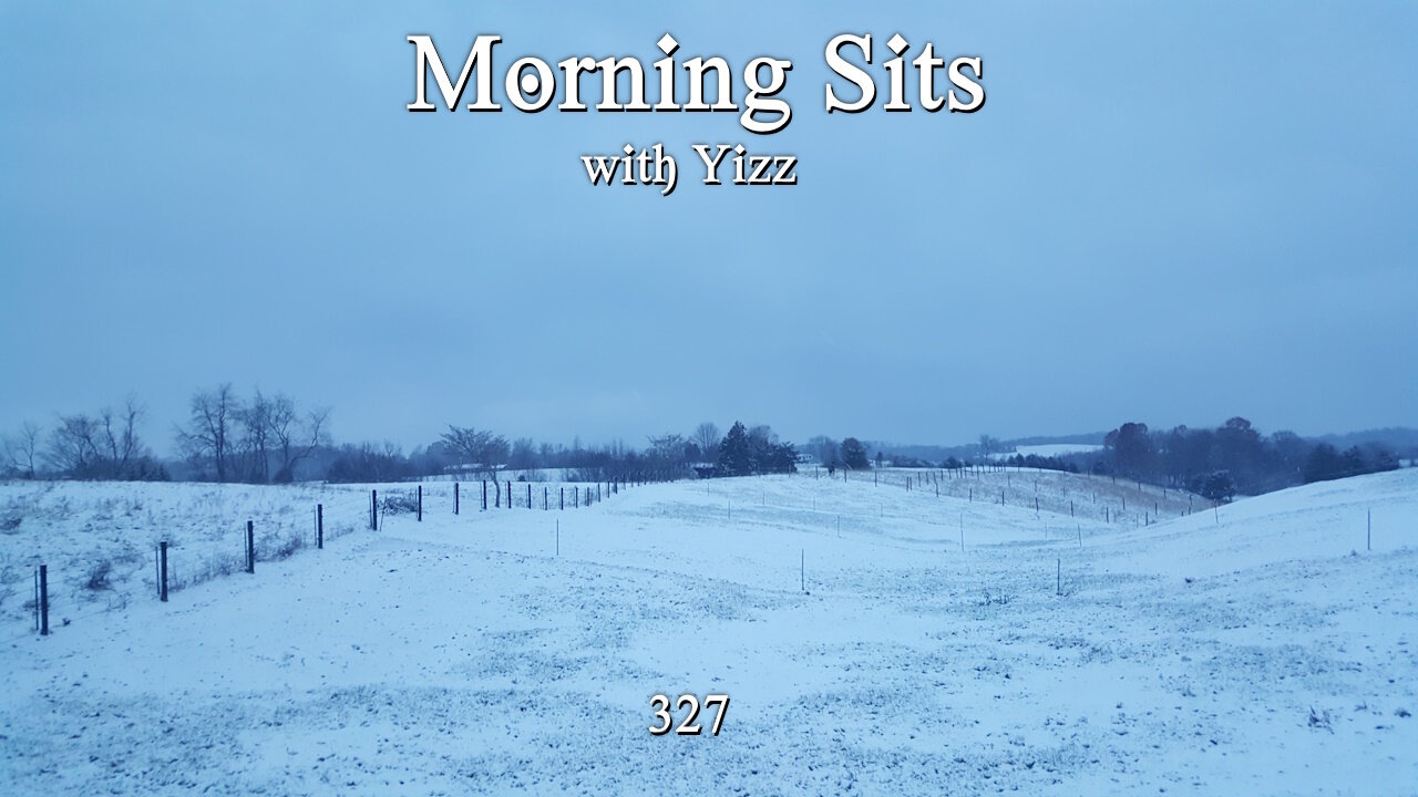 Morning Walks with Yizz 327