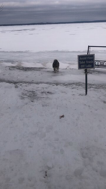 Monday, January 12, All you’re angry enemies lie they’re confused and ashamed.