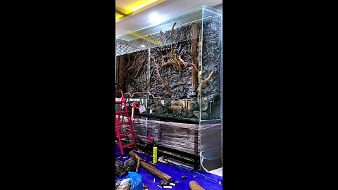 loading paludarium size 250cm
