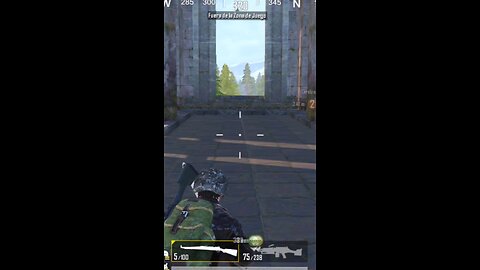 Winner livik