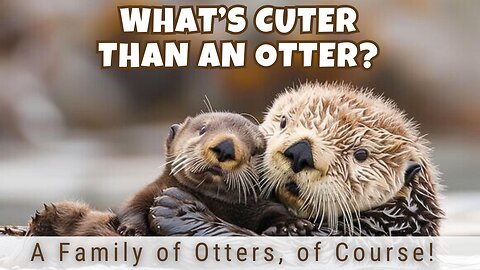 What’s Cuter Than an Otter? 🦦