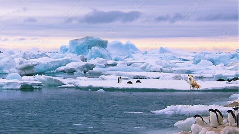 Tech advances, Antarctica