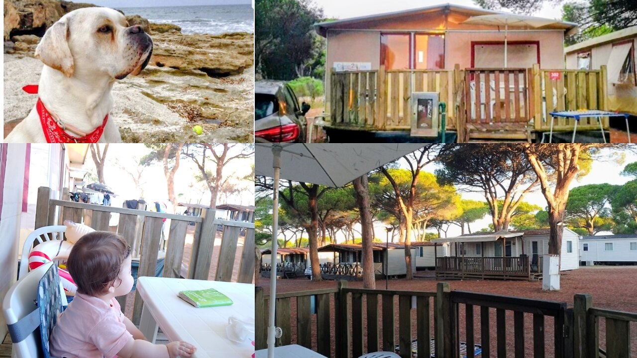 Glamping Pet Friendly in Sardinia |€56 a Night | Silent Vlog