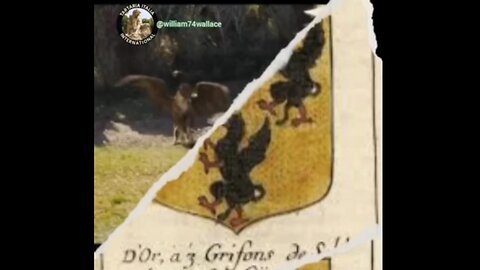 🔱 GRIFFIN — MYTH, LEGEND, OR HIDDEN REALITY? ~ By TARTARIA HISPANICA