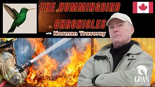 EP #1 - The HUMMINGBIRD CHRONICLES - Who is Norman Traversy?
