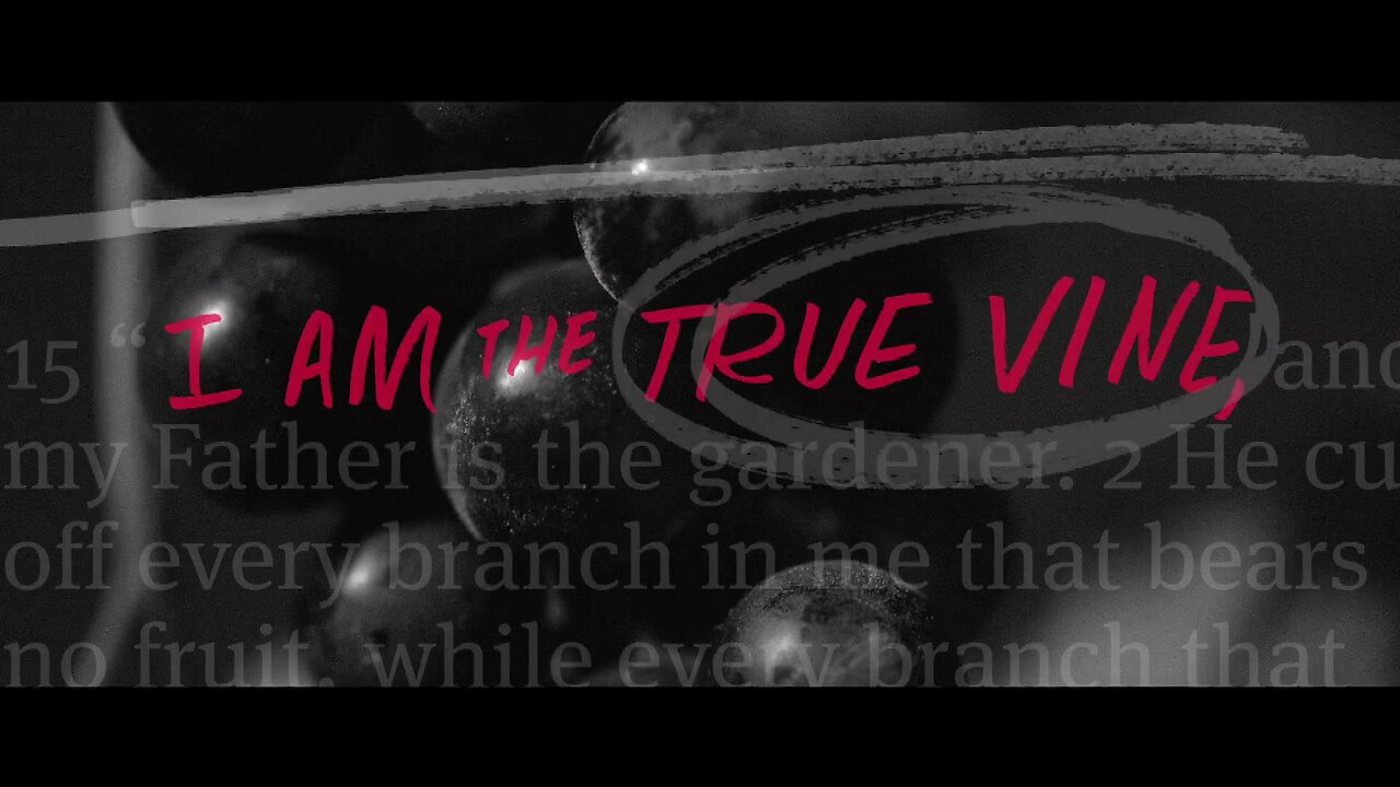I AM The True Vine