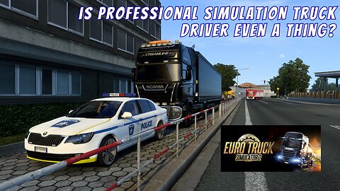 Is professional simulation truck driver even a thing?🤷🏻‍♂️