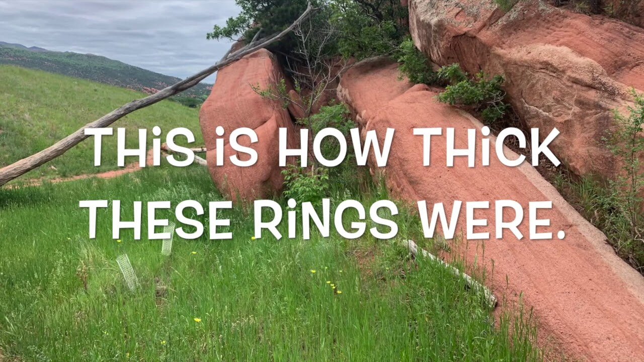 The original forest on flat earth part 6, Allegory Parable Comparison