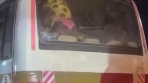 Twerking in the bus lol.