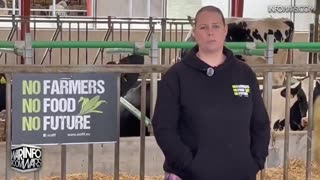 The Alex Jones Shows, LIVE !