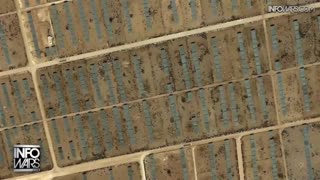 The Alex Jones Shows, LIVE !