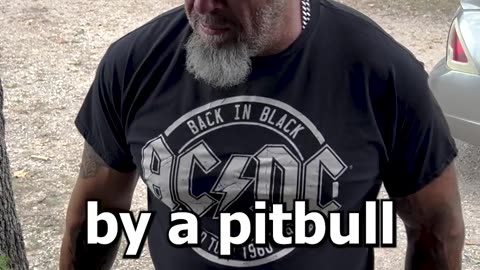 Very Scary Pit Bull