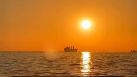 Daily Horoscope | Leo 🌟