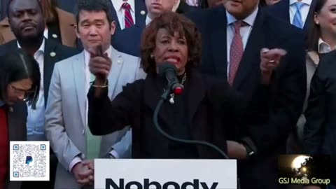 (D) MAXINE WATERS WE WILL FIGHT ELON MUSK