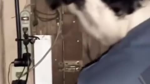 😨👻 Eddie's Friend Captures Something Terrifying | TheHauntingHour