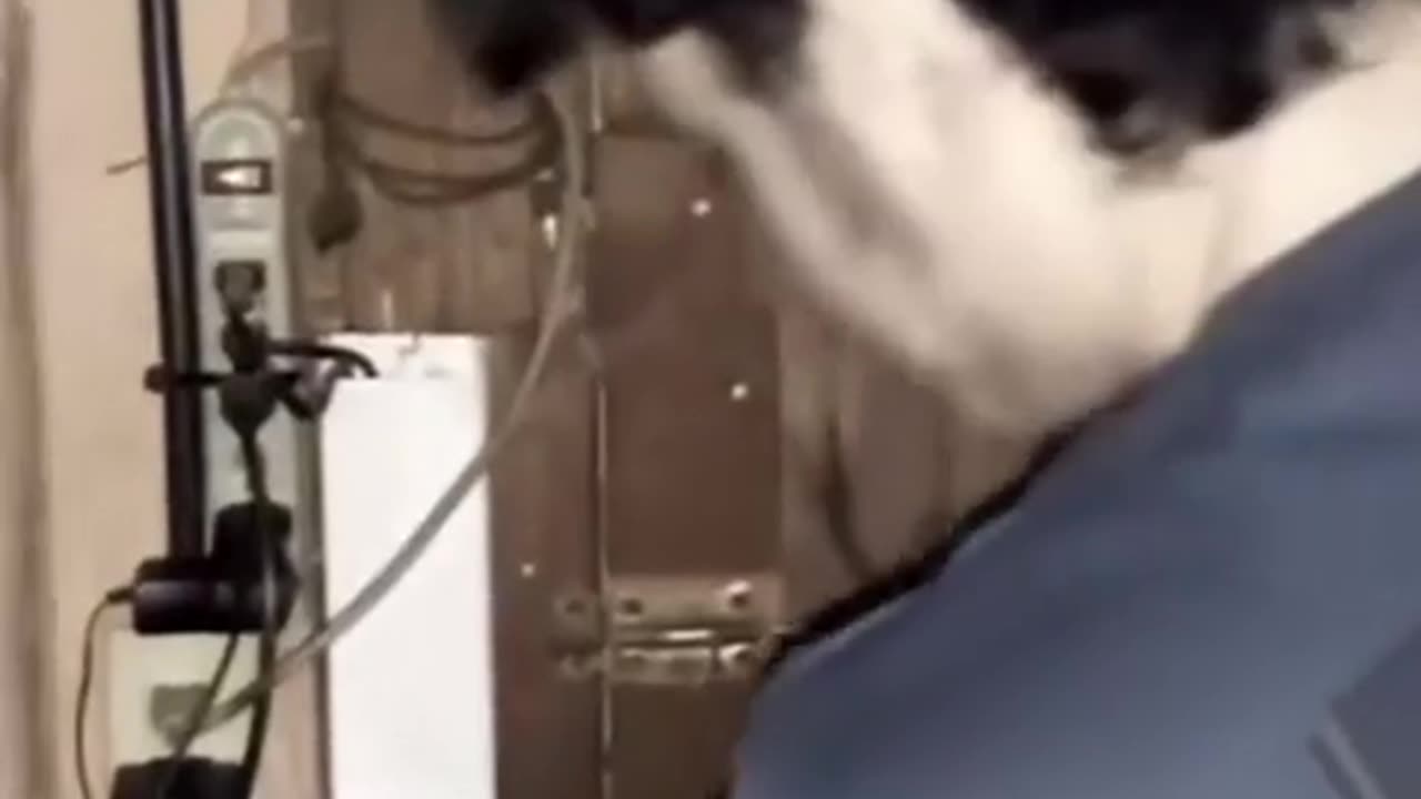 😨👻 Eddie's Friend Captures Something Terrifying | TheHauntingHour