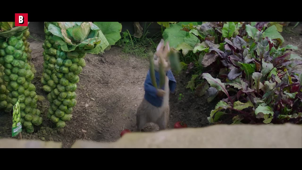Cute rabbit makes fun of the old angry farmer | Peter Rabbit | CLIP