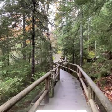 “Your Future Self Is Begging You: START TODAY”