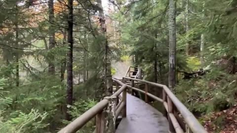 “Your Future Self Is Begging You: START TODAY”