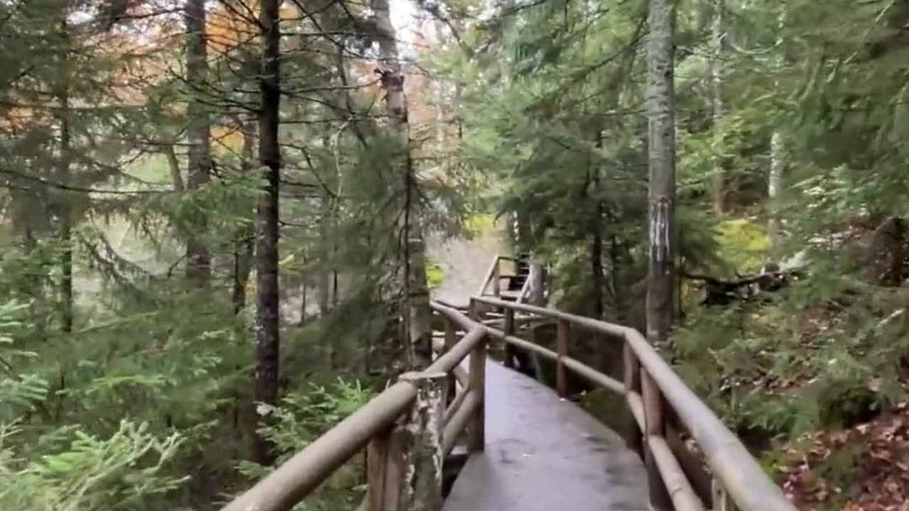 “Your Future Self Is Begging You: START TODAY”