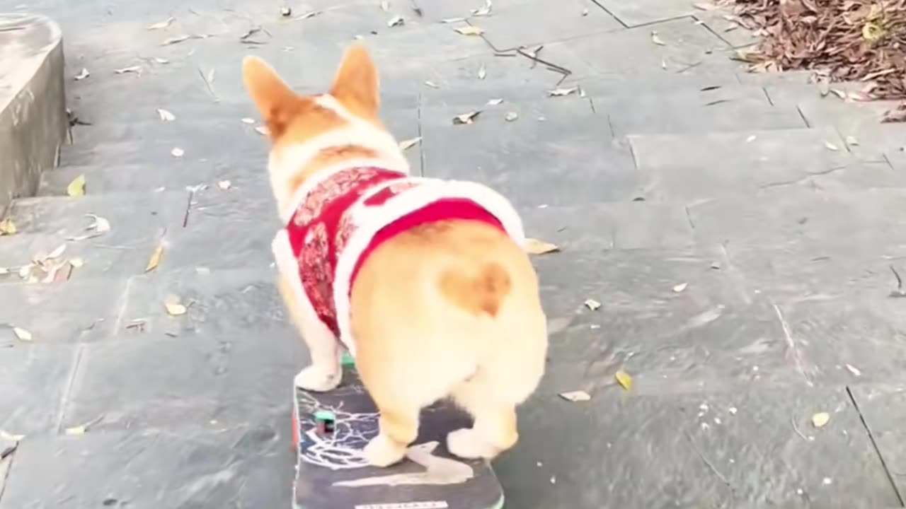 🤔📝 What's The Easiest Way To Clean Your Home? | LifeHacksDaily