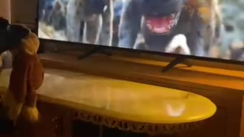 my dog ​​reacting to the movie Lion King
