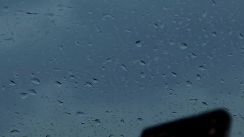 Daily Horoscope | Scorpio 🌟