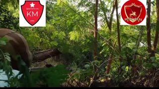 🛸🌿 Myanmar War | Burmese Rebels Ambush Junta Convoy | RCF