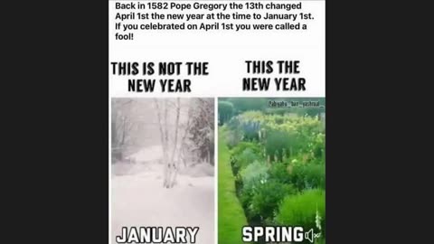 fren news17 - Habbening New Year 4 🐸 WeekendWarrior17