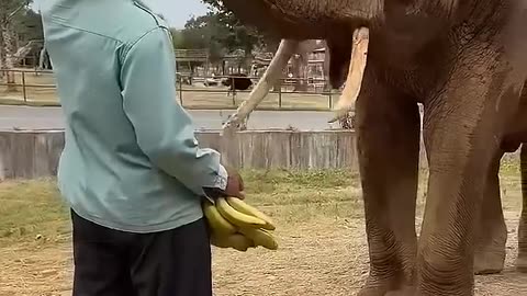Providing additional energy