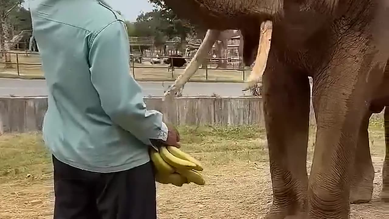 Providing additional energy
