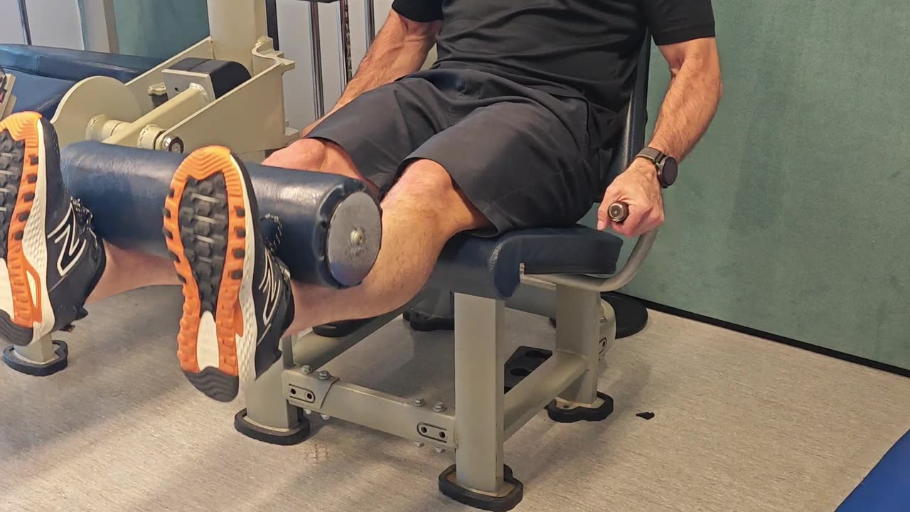 Leg Extension