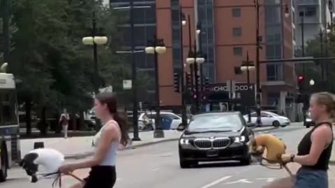 White People Activities