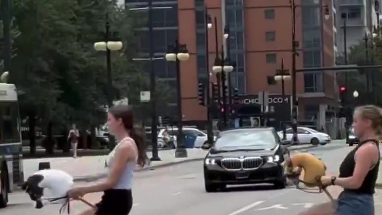 White People Activities