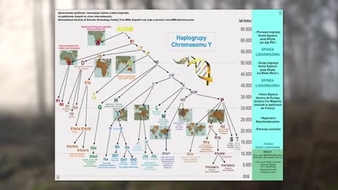 NAJNOWSZE BADANIA DNA O POCHODZENIU POLAKÓW ORAZ DYNASTII PIASTÓW
