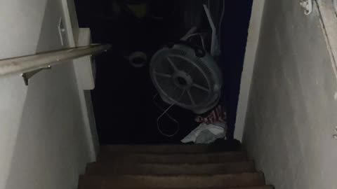 👽💫 Caught Some Orbs?! CAUGHT SOME ORBS!! Curious to what you think they mean? | TheHauntingHour