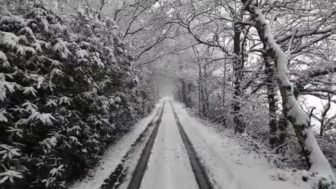 Snowy Road Car Driving Sounds | Icy Winter Road Ambience with Snowy Trees for Sleep & Relaxation