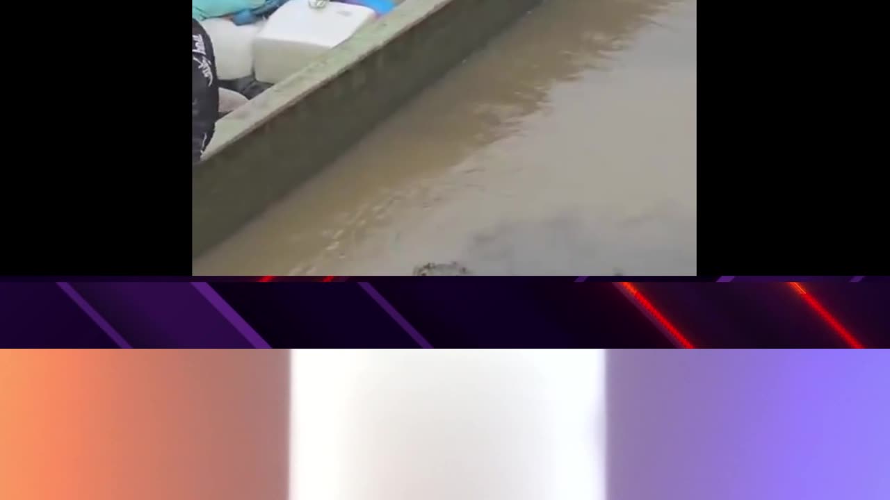 🚨NOTHING TO SEE HERE 🛶🧐