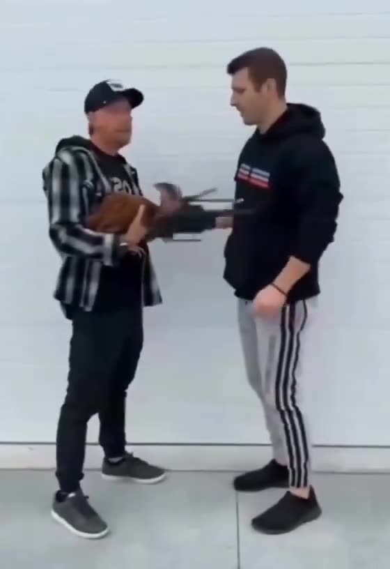 Just a little funny. 😂😂😂