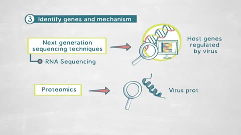 The Mechanisms of Virus-Host-Interaction during Infections