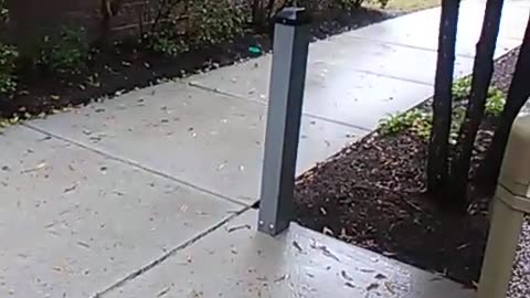 Michael Tokars is in HELL. Until the Second Coming! #warning #viral #truth